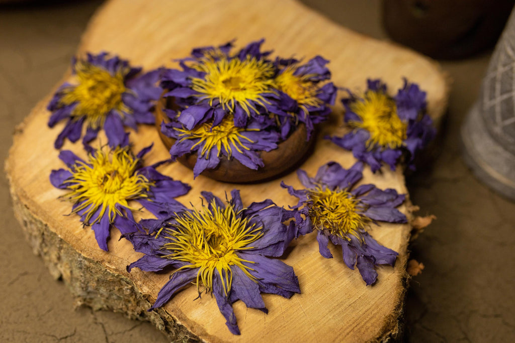 Blue Lotus Flowers