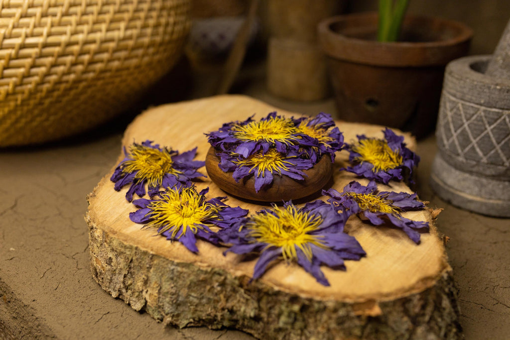 Blue Lotus Flowers